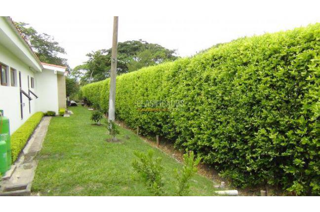 Fincas y Casas Campestres, Venta, Palmira - $1.200.000.000