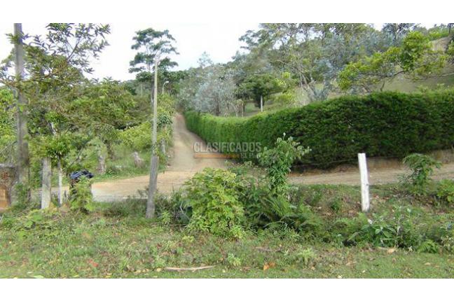 Lotes, Venta en Dapa