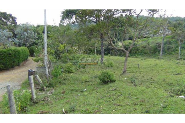 Lotes, Venta en Dapa