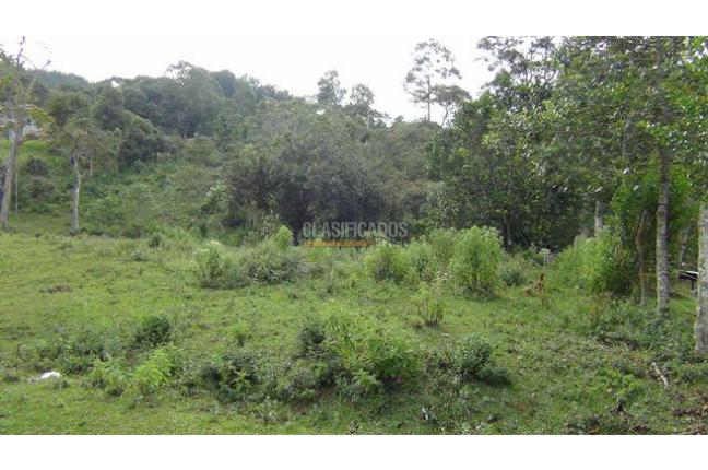 Lotes, Venta, Dapa - $486.000.000