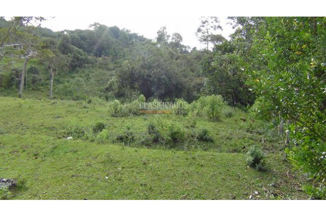 Lotes, Venta, Dapa - $486.000.000