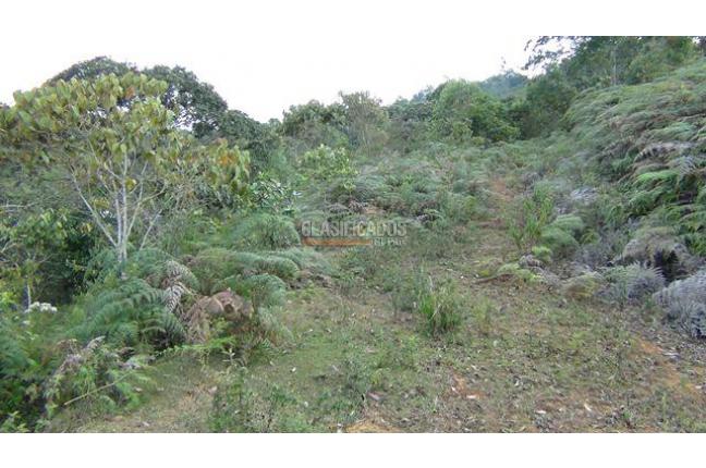 Lotes, Venta, Dapa - $486.000.000