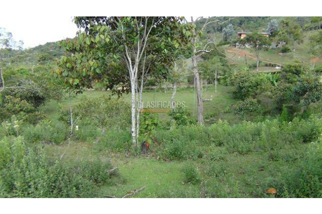 Lotes, Venta, Dapa - $486.000.000
