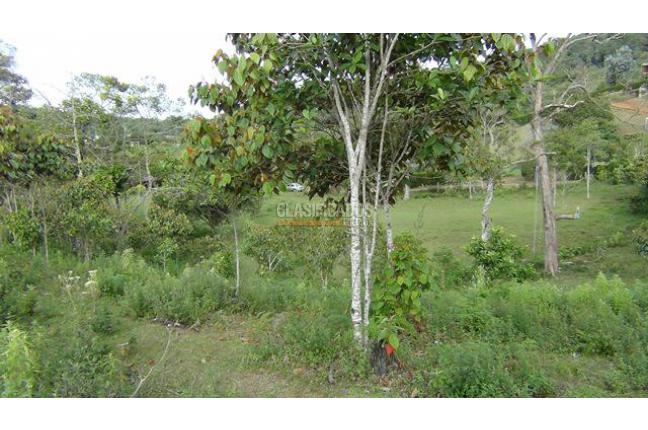 Lotes, Venta, Dapa - $486.000.000