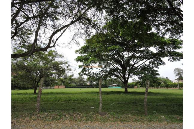 Lotes, Venta en Pance