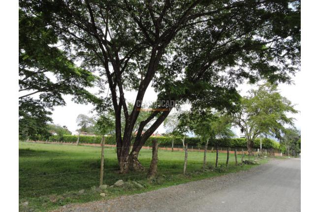 Lotes, Venta en Pance