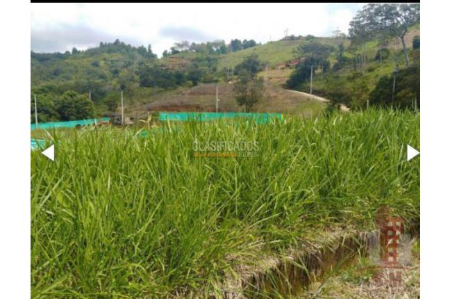 Lotes, Venta, Jamundí