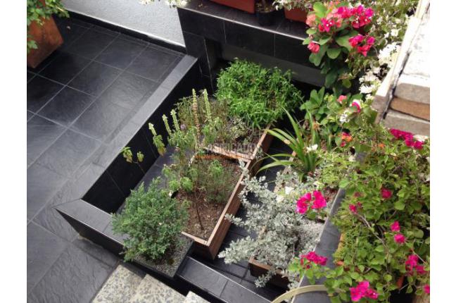 Apartamentos, Venta en Seminario