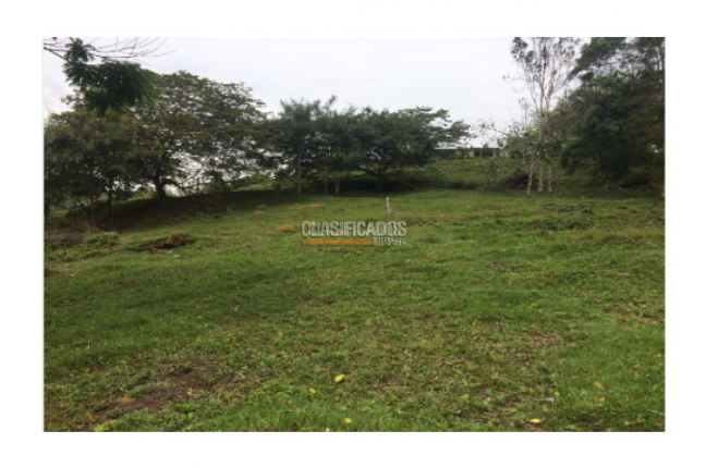 Lotes, Venta en Calima (Darién)