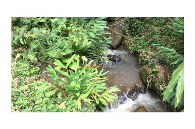 Lotes, Venta en Calima (Darién)