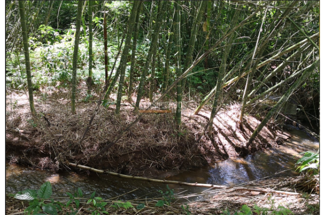 Lotes, Venta, Calima (Darién) - $1.992.000.000