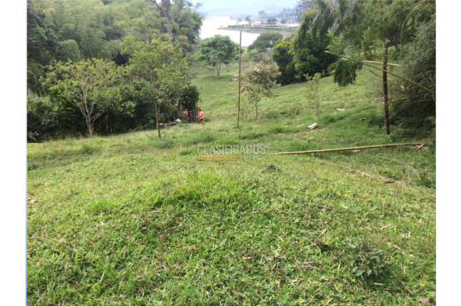 Lotes, Venta, Calima (Darién) - $1.992.000.000