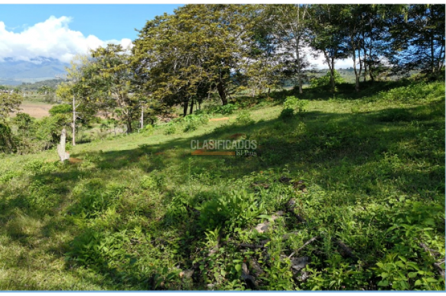 Lotes, Venta, Calima (Darién) - $1.992.000.000