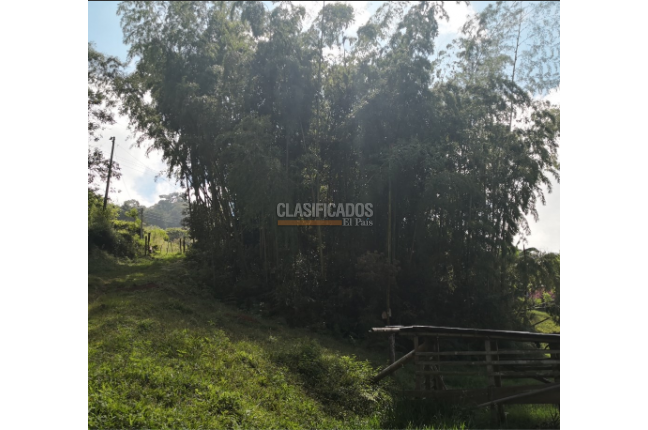 Lotes, Venta, Calima (Darién) - $1.992.000.000