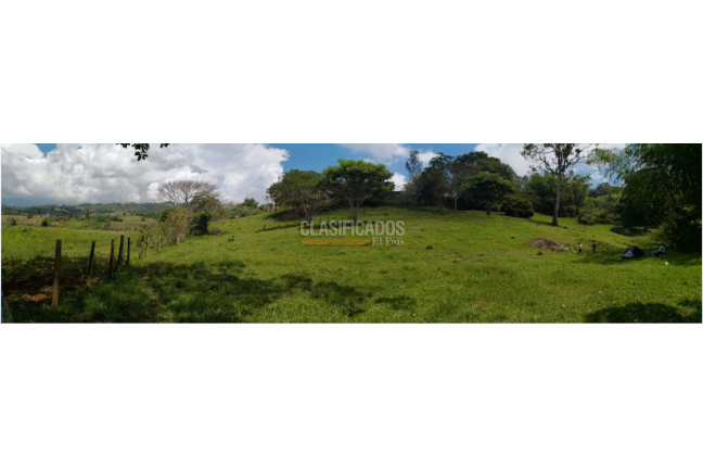 Lotes, Venta, Calima (Darién) - $1.992.000.000