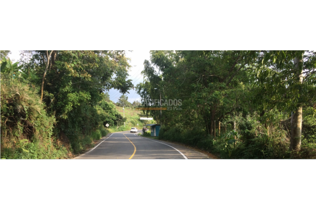 Lotes, Venta, Calima (Darién) - $1.992.000.000