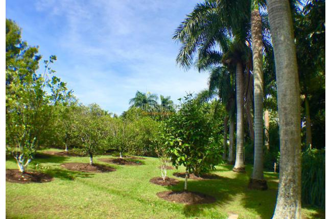 Casas, Venta, Jamundí - $1.800.000.000