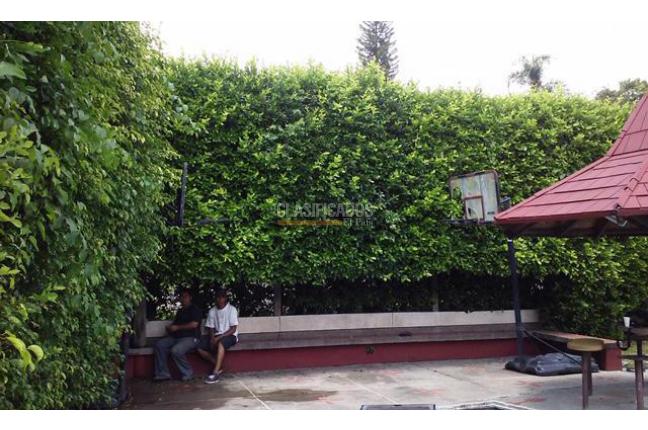 Fincas y Casas Campestres, Venta, Buga - $780.000.000