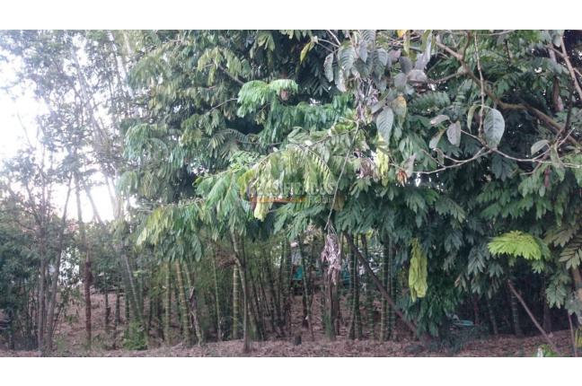 Fincas y Casas Campestres, Venta, Bolívar - $300.000.000