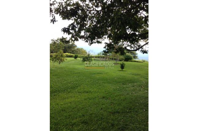 Lotes, Venta en Buga