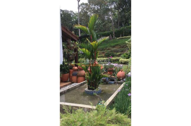 Casas, Venta en Pance