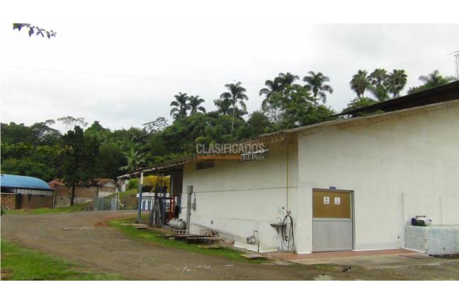 Lotes, Venta, Buitrera - $2.196.652.000