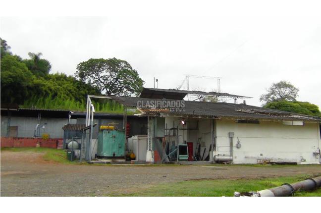 Lotes, Venta, Buitrera - $2.196.652.000