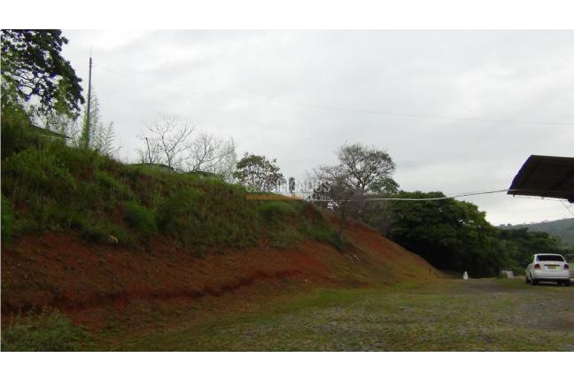 Lotes, Venta, Buitrera - $2.196.652.000