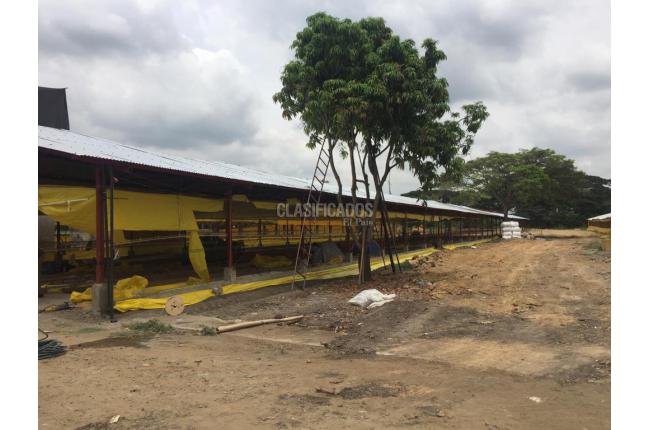 Fincas y Casas Campestres, Venta en Candelaria