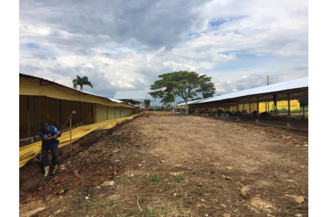 Fincas y Casas Campestres, Venta en Candelaria