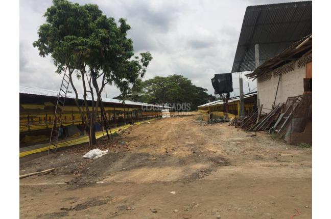 Fincas y Casas Campestres, Venta, Candelaria - $1.650.000.000