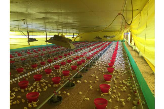 Fincas y Casas Campestres, Venta, Candelaria - $1.650.000.000