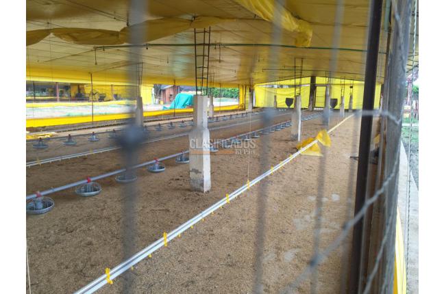 Fincas y Casas Campestres, Venta, Candelaria - $1.650.000.000