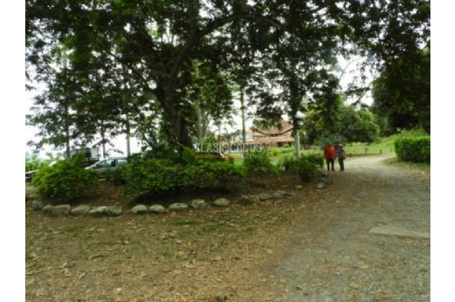 Fincas y Casas Campestres, Venta, La Tebaida - $1.400.000.000