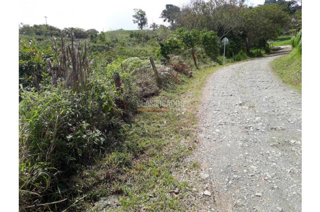 Lotes, Venta, Calima (Darién) - $300.000.000