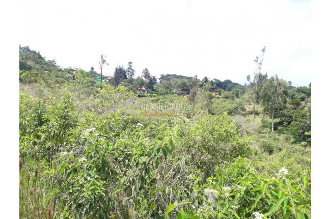 Lotes, Venta, Calima (Darién) - $300.000.000