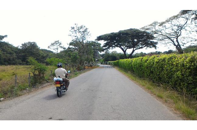 Fincas y Casas Campestres, Venta en Jamundí