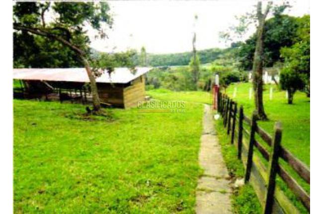 Fincas y Casas Campestres, Venta, El Saladito - $1.000.000.000