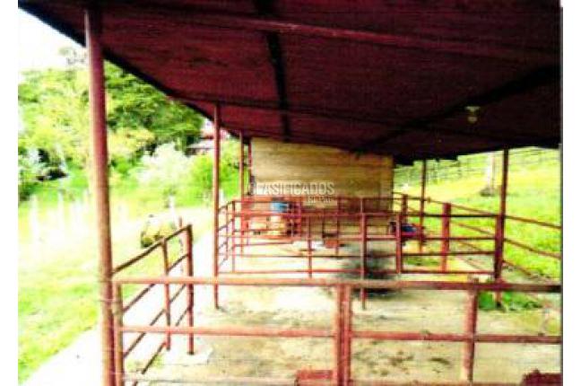 Fincas y Casas Campestres, Venta, El Saladito - $1.000.000.000