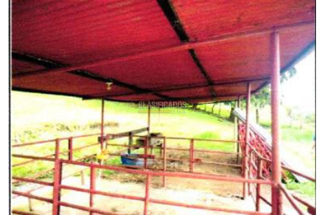 Fincas y Casas Campestres, Venta, El Saladito - $1.000.000.000