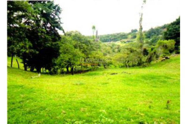 Fincas y Casas Campestres, Venta, El Saladito - $1.000.000.000