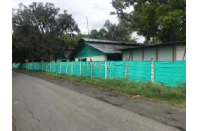 Fincas y Casas Campestres, Venta en Guacarí