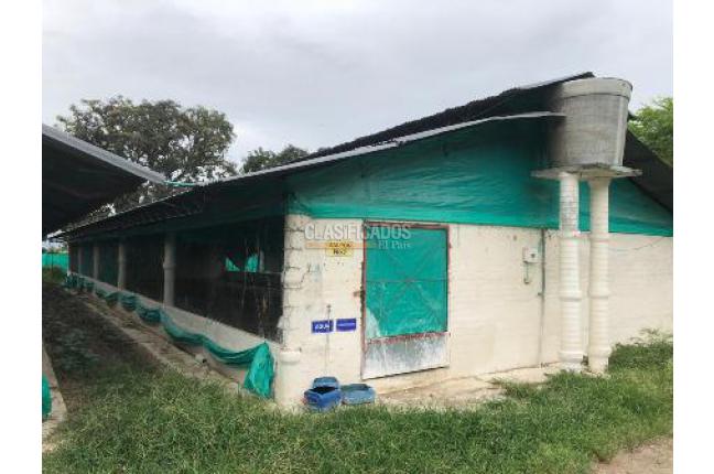 Fincas y Casas Campestres, Venta, Guacarí - $1.000.000.000