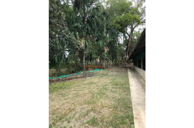 Fincas y Casas Campestres, Venta, Guacarí - $1.000.000.000