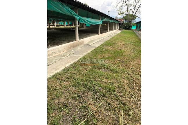 Fincas y Casas Campestres, Venta, Guacarí - $1.000.000.000