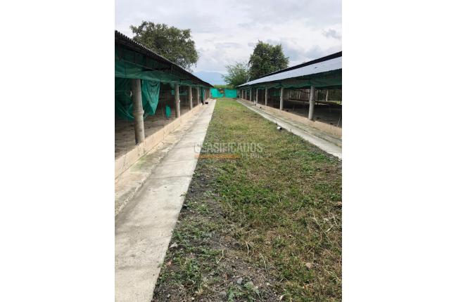 Fincas y Casas Campestres, Venta, Guacarí - $1.000.000.000