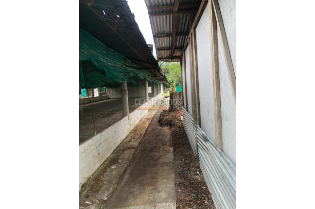 Fincas y Casas Campestres, Venta, Guacarí - $1.000.000.000