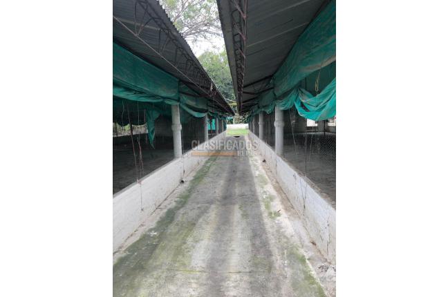 Fincas y Casas Campestres, Venta, Guacarí - $1.000.000.000