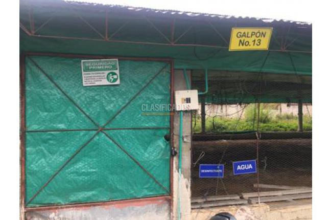 Fincas y Casas Campestres, Venta, Guacarí - $1.000.000.000