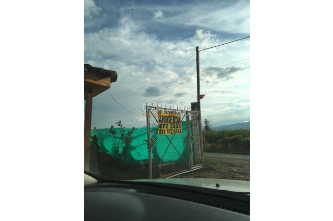 Fincas y Casas Campestres, Venta, Guacarí - $1.000.000.000